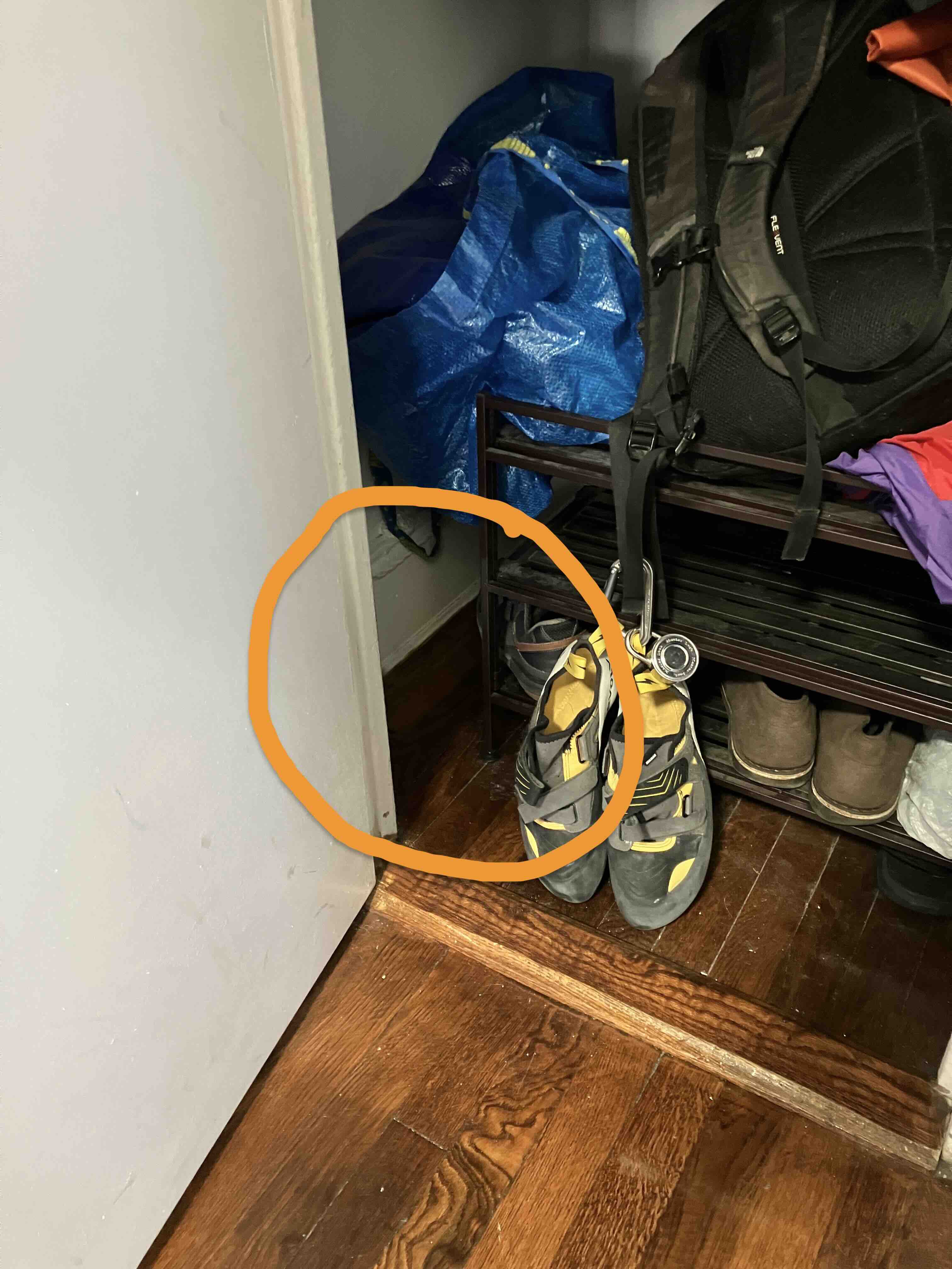 An image of the spot in the eastern hall closet where Pablo likes to hide.